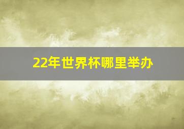 22年世界杯哪里举办