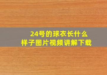 24号的球衣长什么样子图片视频讲解下载