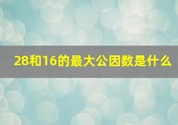 28和16的最大公因数是什么