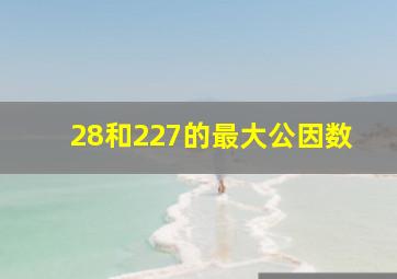 28和227的最大公因数