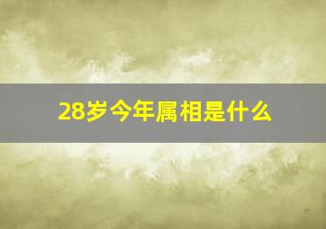 28岁今年属相是什么