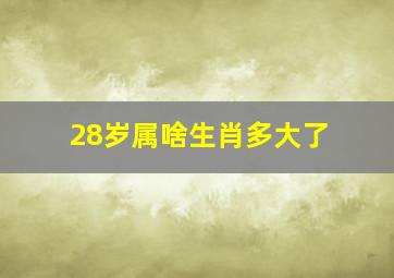 28岁属啥生肖多大了