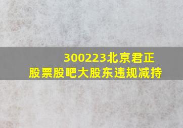 300223北京君正股票股吧大股东违规减持