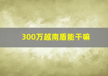 300万越南盾能干嘛