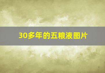 30多年的五粮液图片