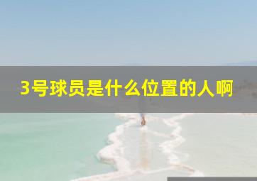 3号球员是什么位置的人啊