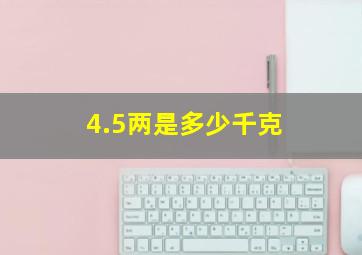 4.5两是多少千克