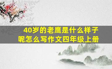 40岁的老鹰是什么样子呢怎么写作文四年级上册