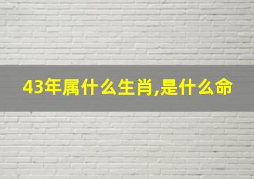 43年属什么生肖,是什么命