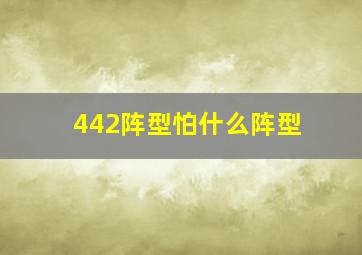 442阵型怕什么阵型