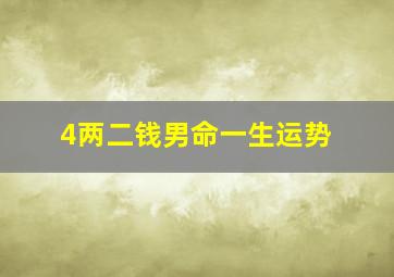 4两二钱男命一生运势