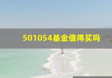 501054基金值得买吗