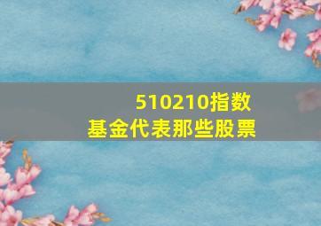 510210指数基金代表那些股票