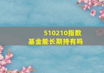 510210指数基金能长期持有吗