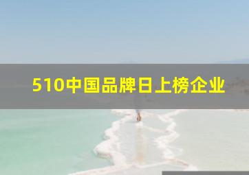 510中国品牌日上榜企业