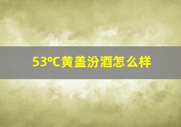 53℃黄盖汾酒怎么样