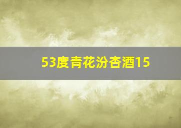 53度青花汾杏酒15