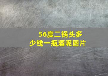 56度二锅头多少钱一瓶酒呢图片