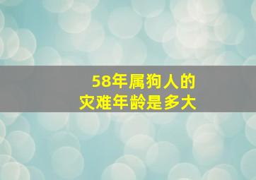 58年属狗人的灾难年龄是多大