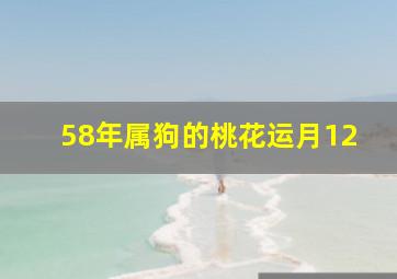 58年属狗的桃花运月12