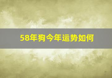 58年狗今年运势如何