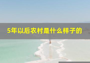 5年以后农村是什么样子的