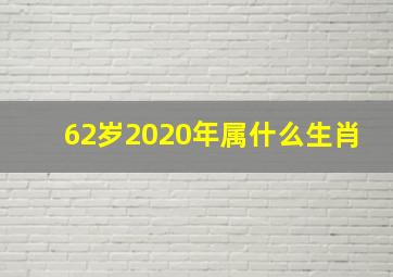 62岁2020年属什么生肖