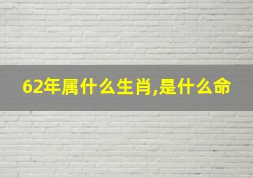 62年属什么生肖,是什么命