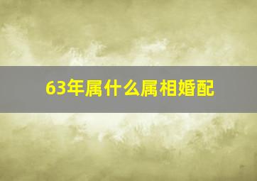 63年属什么属相婚配