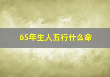 65年生人五行什么命