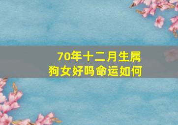 70年十二月生属狗女好吗命运如何