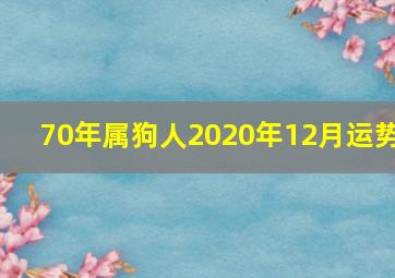 70年属狗人2020年12月运势