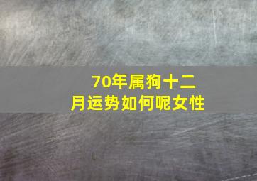 70年属狗十二月运势如何呢女性