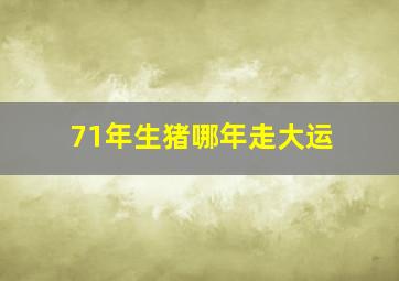 71年生猪哪年走大运