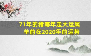 71年的猪哪年走大运属羊的在2020年的运势