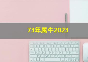 73年属牛2023