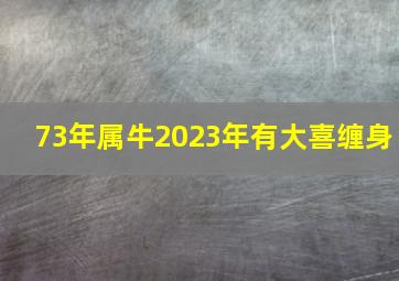 73年属牛2023年有大喜缠身