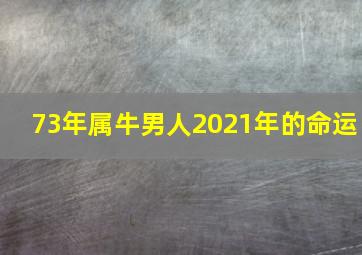 73年属牛男人2021年的命运