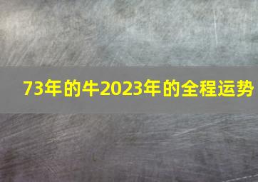 73年的牛2023年的全程运势