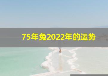 75年兔2022年的运势