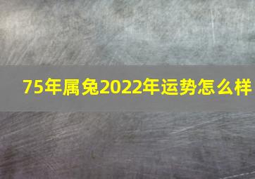 75年属兔2022年运势怎么样