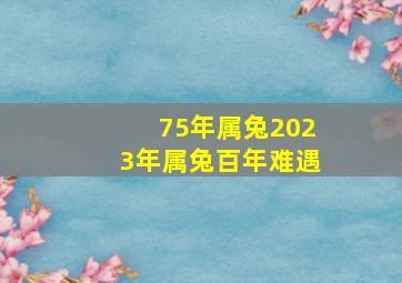 75年属兔2023年属兔百年难遇