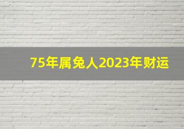 75年属兔人2023年财运