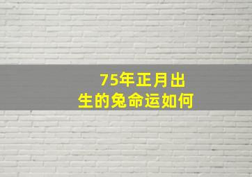 75年正月出生的兔命运如何