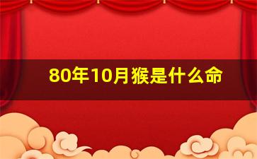 80年10月猴是什么命