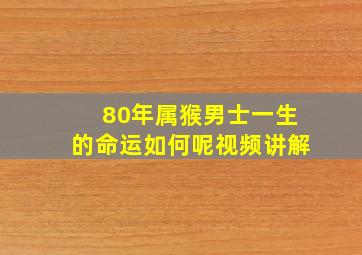 80年属猴男士一生的命运如何呢视频讲解