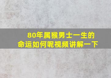 80年属猴男士一生的命运如何呢视频讲解一下