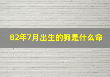 82年7月出生的狗是什么命