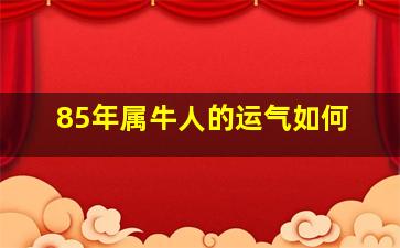 85年属牛人的运气如何