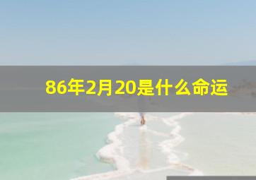 86年2月20是什么命运